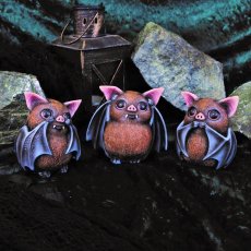 Vleermuizen - Bats