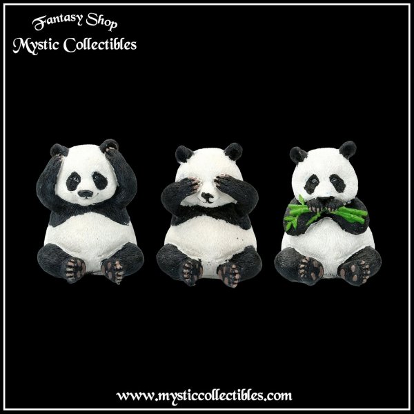 an-fg007-1-three-wise-pandas