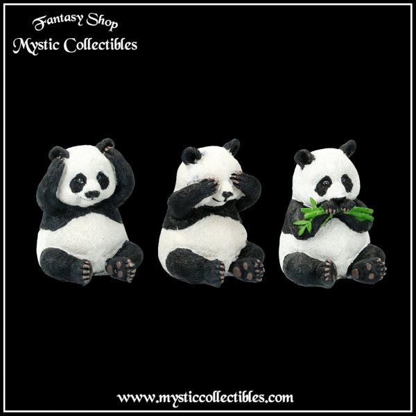 an-fg007-2-three-wise-pandas