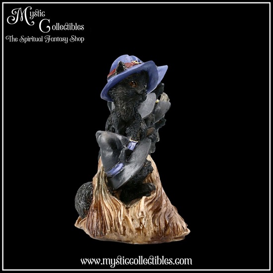 ct-fg032-5-figurine-purrfect-broomstick