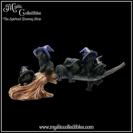ct-fg032-6-figurine-purrfect-broomstick