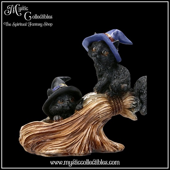 ct-fg032-7-figurine-purrfect-broomstick