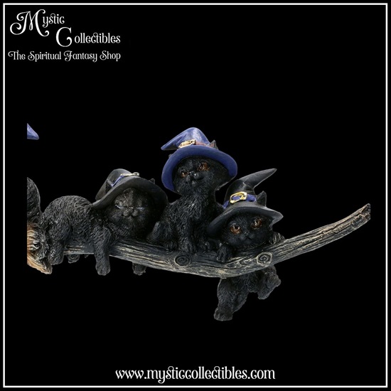 ct-fg032-8-figurine-purrfect-broomstick