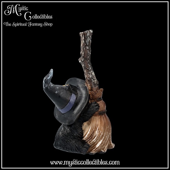 ct-fg045-4-figurine-broom-guard