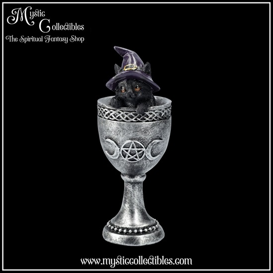 ct-fg059-1-figurine-coven-cup