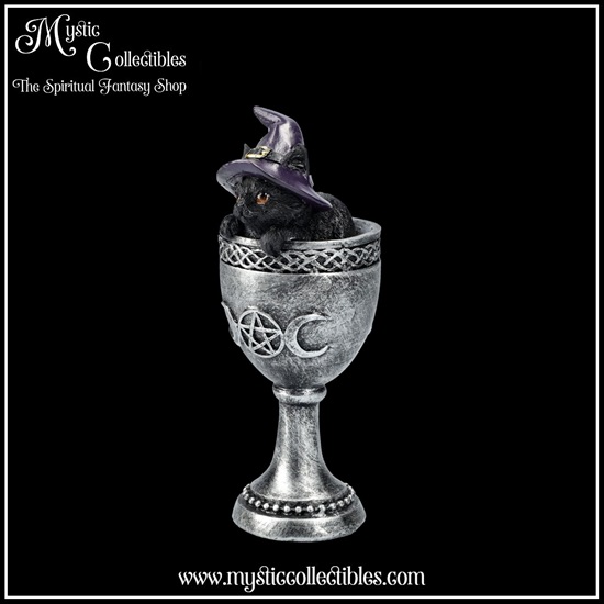 ct-fg059-2-figurine-coven-cup