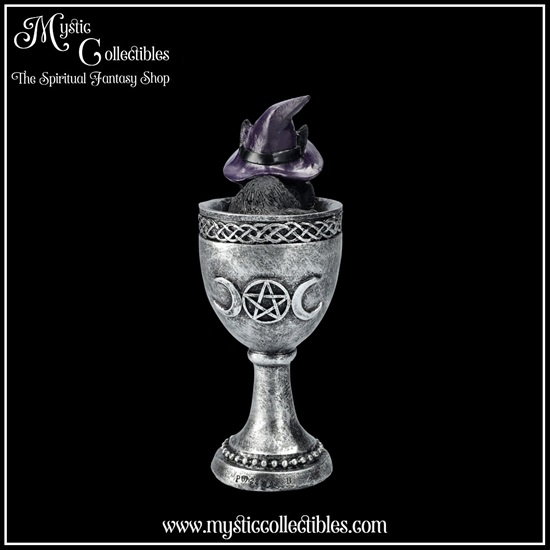 ct-fg059-4-figurine-coven-cup