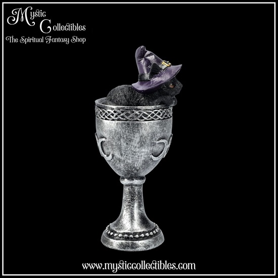 ct-fg059-5-figurine-coven-cup