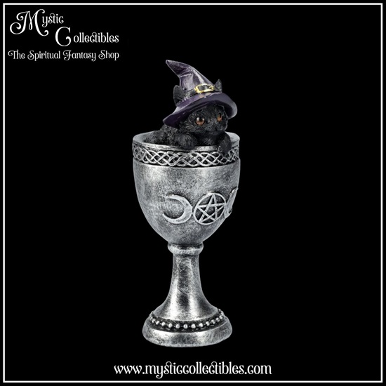 ct-fg059-6-figurine-coven-cup
