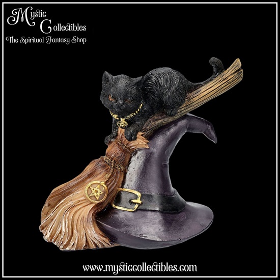 ct-fg060-1-figurine-bewitched