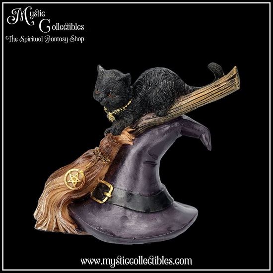ct-fg060-2-figurine-bewitched