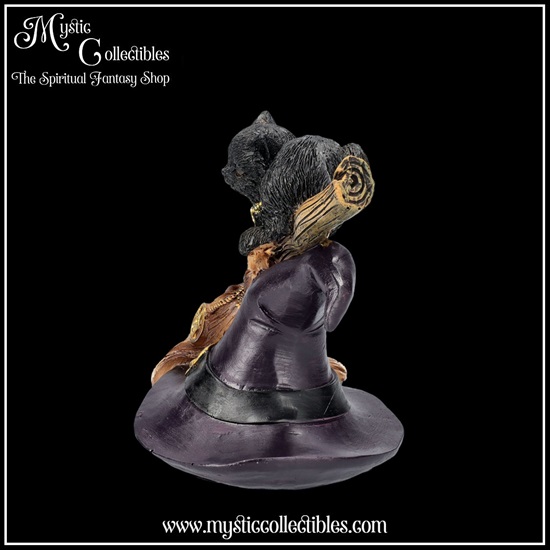 ct-fg060-3-figurine-bewitched