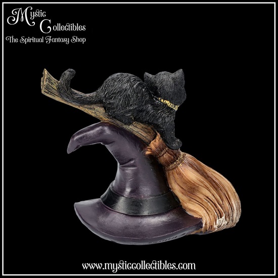 ct-fg060-4-figurine-bewitched
