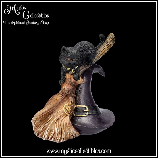 ct-fg060-6-figurine-bewitched