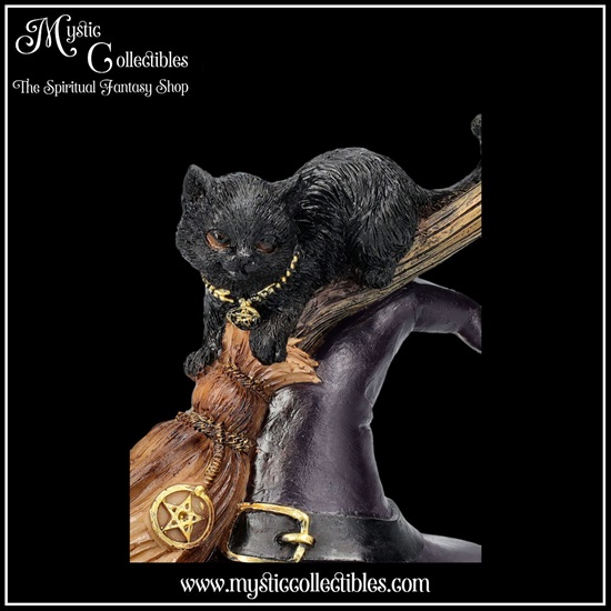 ct-fg060-7-figurine-bewitched