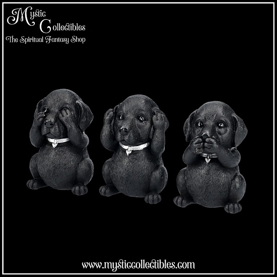 dg-fg005-2-dog-figurines-three-wise-labradors