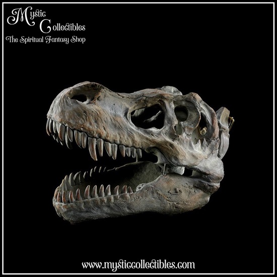 di-wa002-3-wall-decoration-tyrannosaurus-rex-skull