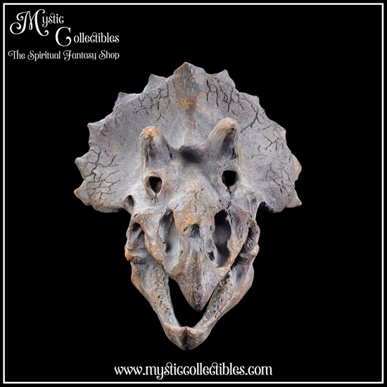 di-wa003-2-wall-decoration-triceratops-skull