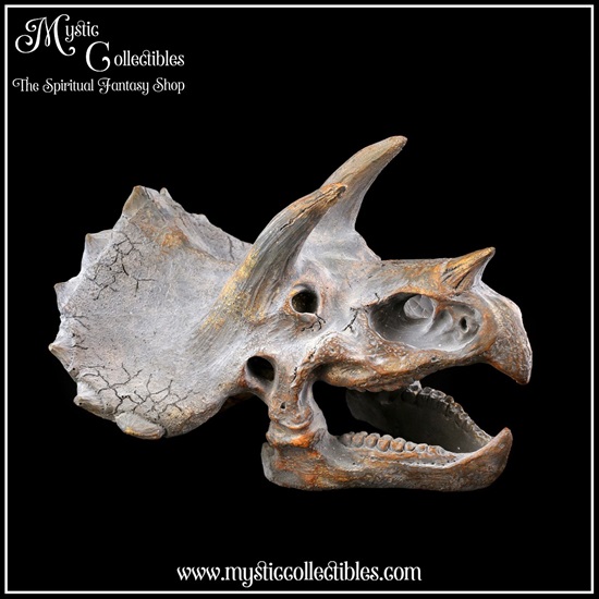 di-wa003-4-wall-decoration-triceratops-skull