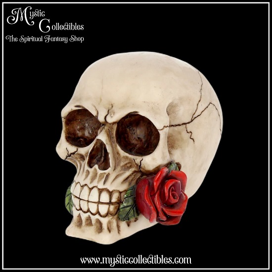 sk-sch008-1-skull-figurine-rose-from-the-dead