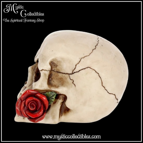 sk-sch008-2-skull-figurine-rose-from-the-dead