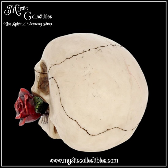 sk-sch008-3-skull-figurine-rose-from-the-dead