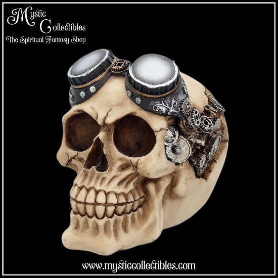 sk-sch017-1-skull-figurine-goggles