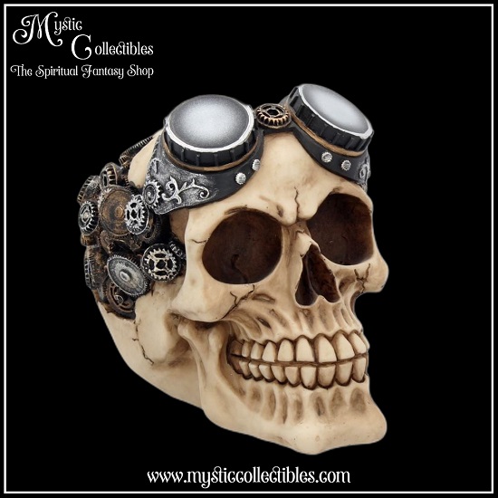 sk-sch017-3-skull-figurine-goggles