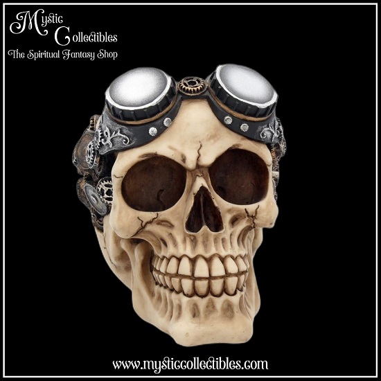 sk-sch017-4-skull-figurine-goggles