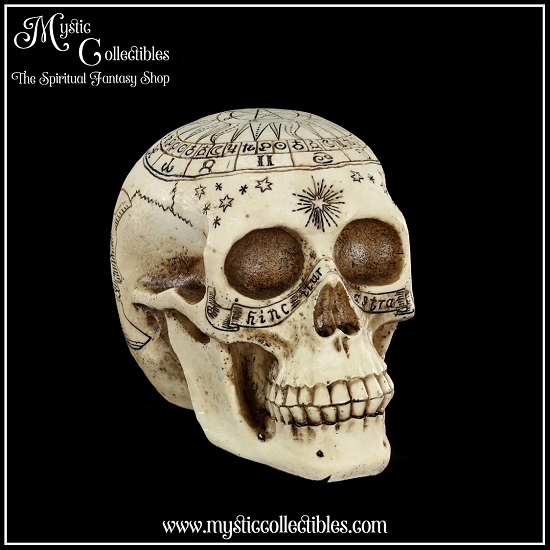 sk-sch066-1-skull-figurine-astrological-skull