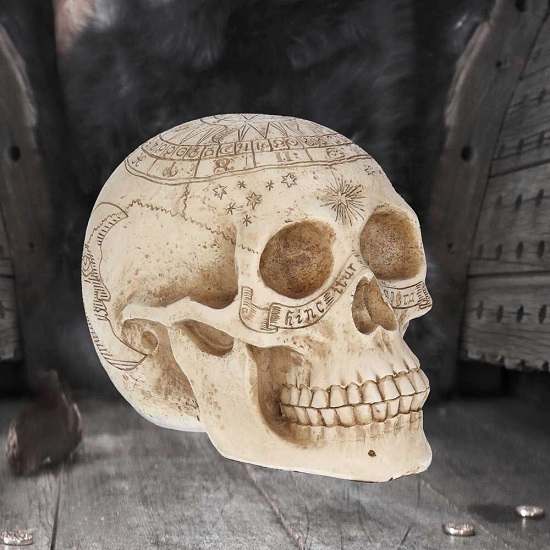 sk-sch066-10-skull-figurine-astrological-skull