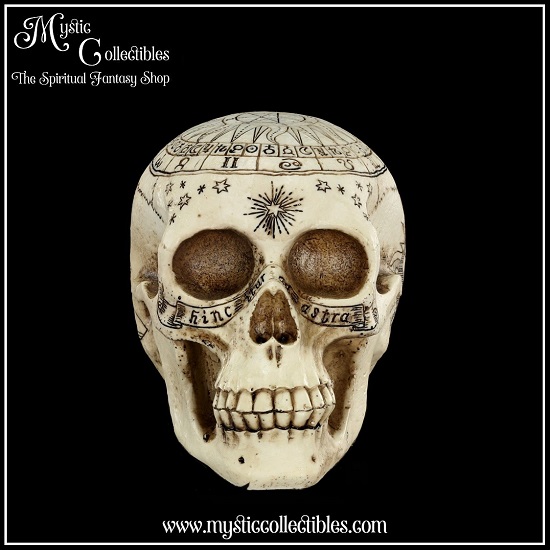 sk-sch066-2-skull-figurine-astrological-skull