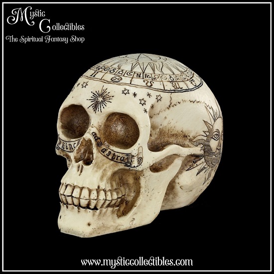 sk-sch066-3-skull-figurine-astrological-skull