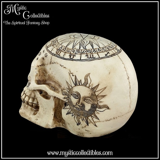 sk-sch066-5-skull-figurine-astrological-skull