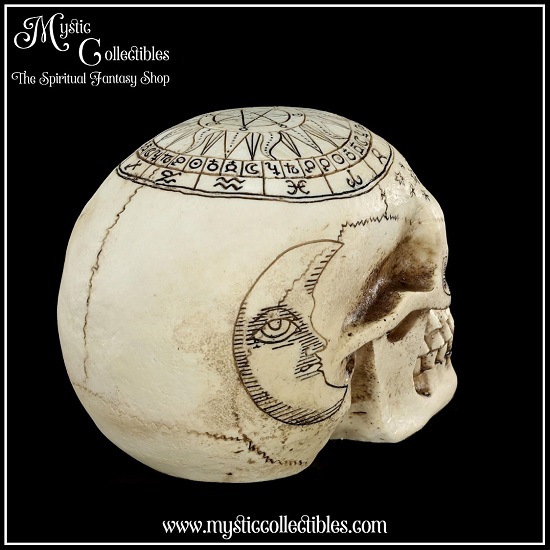 sk-sch066-7-skull-figurine-astrological-skull