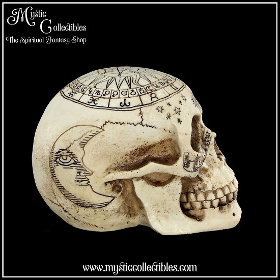 sk-sch066-8-skull-figurine-astrological-skull