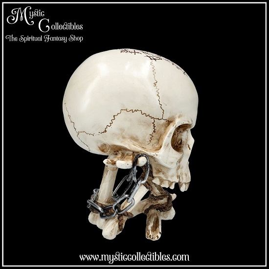 sk-sch078-5-skull-figurine-the-reckoning
