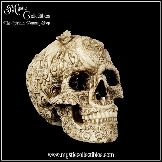 sk-sch084-1-skull-figurine-cranial-drakos