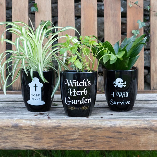 wi-gd003-7-plant-pot-witch-s-herb-garden