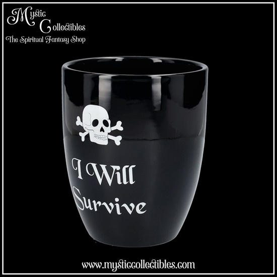 wi-gd004-2-plant-pot-i-will-survive