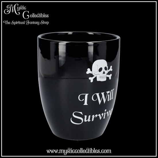 wi-gd004-6-plant-pot-i-will-survive