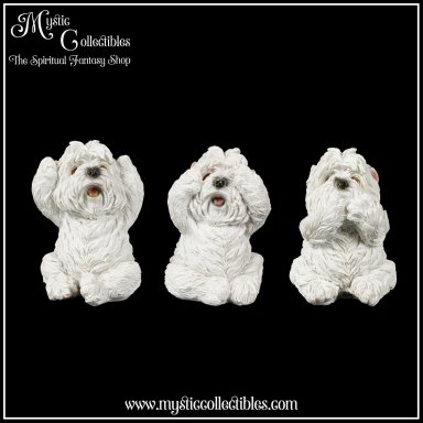 Beeldjes Three Wise Westies 8cm (West Highland White Terriers) - Nemesis Now (Horen - Zien - Zwijgen) (Hond - Honden)