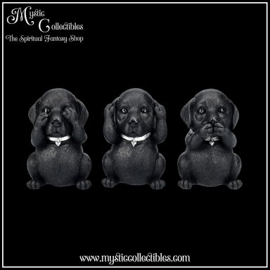 Beeldjes Three Wise Labradors 8.5cm - Nemesis Now (Horen - Zien - Zwijgen) (Hond - Honden)