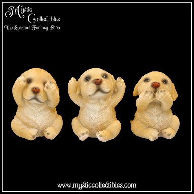 Beeldjes Three Wise Golden Labradors - Nemesis Now (Horen - Zien - Zwijgen) (Hond - Honden)
