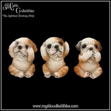 Beeldjes Three Wise Bulldogs - Nemesis Now (Horen - Zien - Zwijgen) (Hond - Honden)