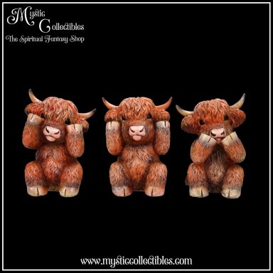Beeldjes Three Wise Highland Cows 9.6cm - Highland Cows Collectie - Nemesis Now (Horen - Zien - Zwijgen) (Koe - Koeien)