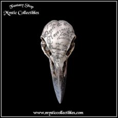 Beeld Edgar's Raven Skull (Raaf - Schedels)