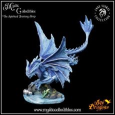 Beeld Water Dragon Adult - Anne Stokes - Age of Dragons (Draak - Draken)