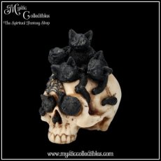 Beeldje Cranial Litter 14cm (Kat - Schedel - Skull - Katten - Schedels - Skulls)