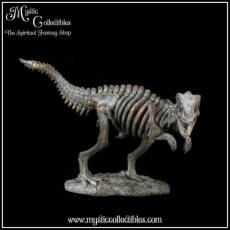 Beeld Tyrannosaurus Rex Skeleton (Dinosaurus - Dinosaurussen)